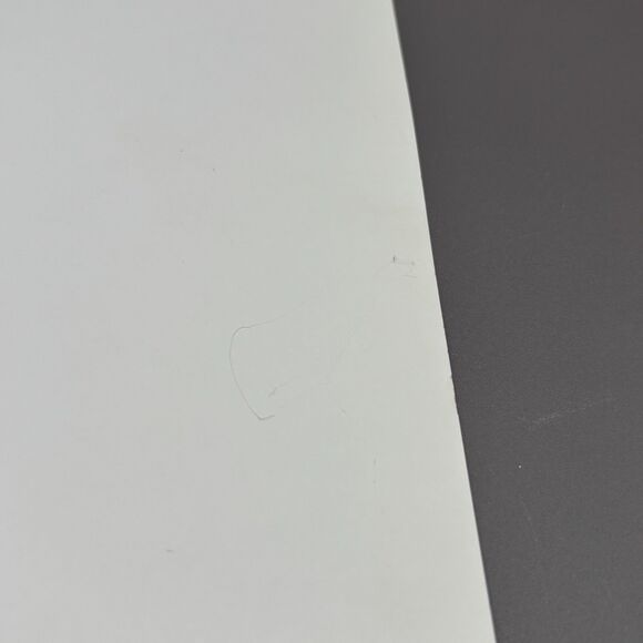 Camilla d’Errico Fruit Fuzz Art Print Big Eyes Girl Panda Mice Pop Manga Lowbrow - Picture 7 of 10